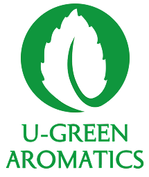 PT UGREEN Logo