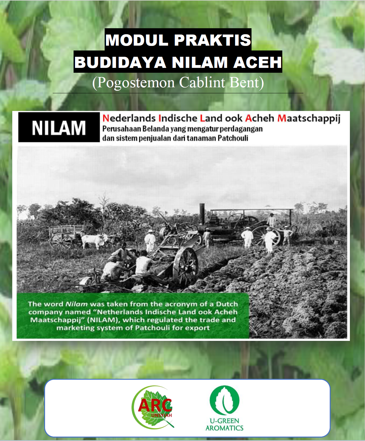Modul Budidaya Nilam Aceh
